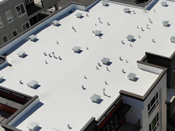 Single Ply Roofing