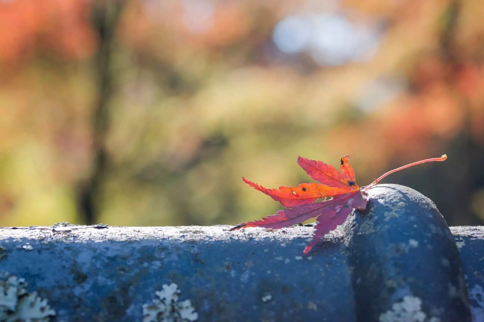 Winterize Your Home's Roof ezgif-1-d4e499be1006